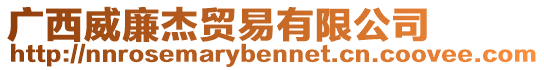 廣西威廉杰貿(mào)易有限公司