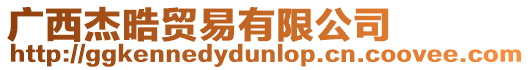 廣西杰晧貿(mào)易有限公司