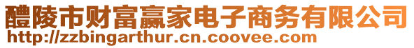 醴陵市財富贏家電子商務有限公司