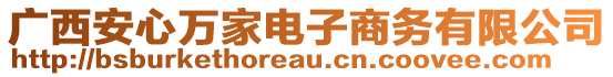 廣西安心萬(wàn)家電子商務(wù)有限公司