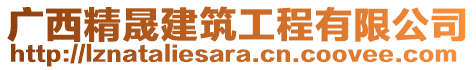 廣西精晟建筑工程有限公司