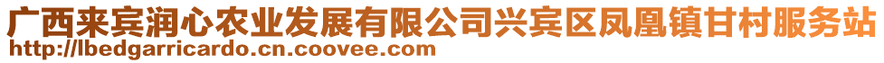 廣西來(lái)賓潤(rùn)心農(nóng)業(yè)發(fā)展有限公司興賓區(qū)鳳凰鎮(zhèn)甘村服務(wù)站