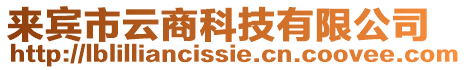 來賓市云商科技有限公司