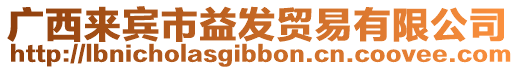 廣西來賓市益發(fā)貿(mào)易有限公司