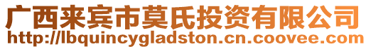 廣西來(lái)賓市莫氏投資有限公司