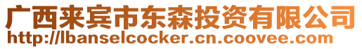 廣西來(lái)賓市東森投資有限公司