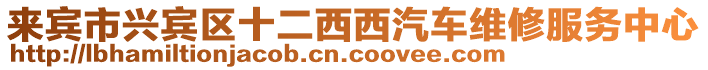 來賓市興賓區(qū)十二西西汽車維修服務中心