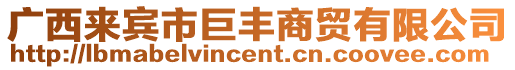 廣西來(lái)賓市巨豐商貿(mào)有限公司