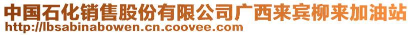 中國(guó)石化銷售股份有限公司廣西來(lái)賓柳來(lái)加油站