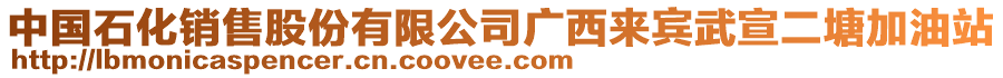 中國石化銷售股份有限公司廣西來賓武宣二塘加油站