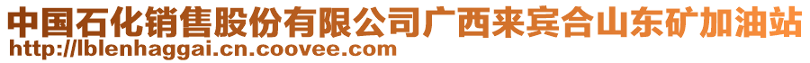 中國石化銷售股份有限公司廣西來賓合山東礦加油站