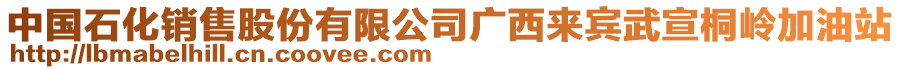 中國(guó)石化銷售股份有限公司廣西來(lái)賓武宣桐嶺加油站