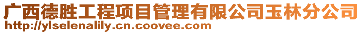 廣西德勝工程項目管理有限公司玉林分公司