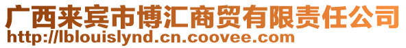 廣西來(lái)賓市博匯商貿(mào)有限責(zé)任公司