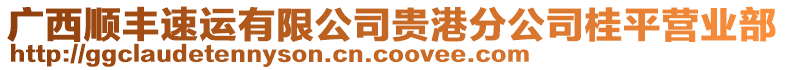 廣西順豐速運有限公司貴港分公司桂平營業(yè)部