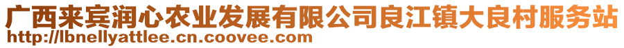 廣西來賓潤心農(nóng)業(yè)發(fā)展有限公司良江鎮(zhèn)大良村服務站