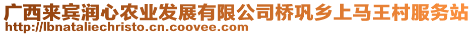 廣西來賓潤心農(nóng)業(yè)發(fā)展有限公司橋鞏鄉(xiāng)上馬王村服務(wù)站