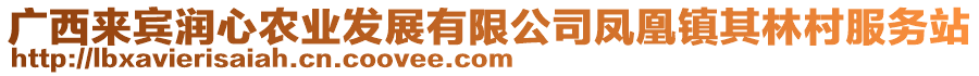 廣西來(lái)賓潤(rùn)心農(nóng)業(yè)發(fā)展有限公司鳳凰鎮(zhèn)其林村服務(wù)站