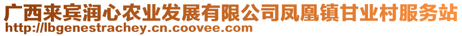 廣西來賓潤心農(nóng)業(yè)發(fā)展有限公司鳳凰鎮(zhèn)甘業(yè)村服務(wù)站