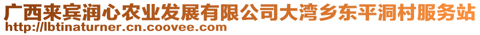 廣西來賓潤心農(nóng)業(yè)發(fā)展有限公司大灣鄉(xiāng)東平洞村服務(wù)站