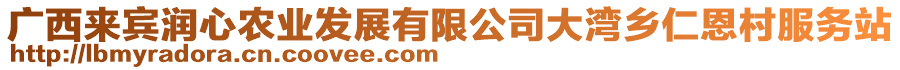 廣西來賓潤心農(nóng)業(yè)發(fā)展有限公司大灣鄉(xiāng)仁恩村服務(wù)站