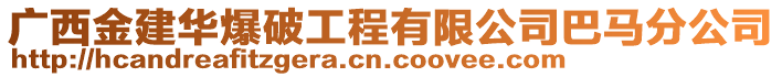 廣西金建華爆破工程有限公司巴馬分公司