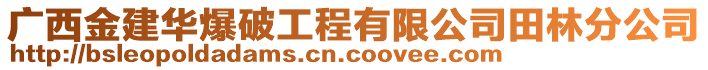 廣西金建華爆破工程有限公司田林分公司