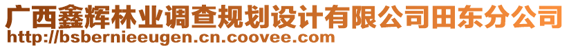 廣西鑫輝林業(yè)調(diào)查規(guī)劃設(shè)計有限公司田東分公司