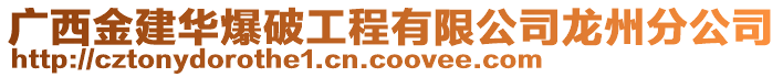 廣西金建華爆破工程有限公司龍州分公司