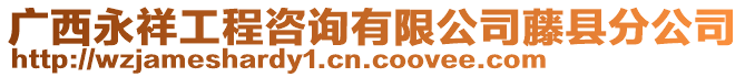 廣西永祥工程咨詢有限公司藤縣分公司