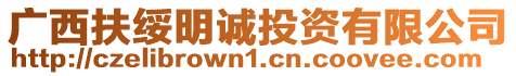 廣西扶綏明誠投資有限公司