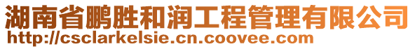 湖南省鵬勝和潤工程管理有限公司