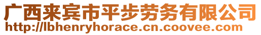 廣西來賓市平步勞務有限公司