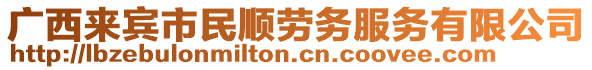 廣西來賓市民順勞務(wù)服務(wù)有限公司