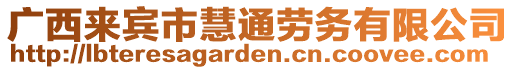 廣西來(lái)賓市慧通勞務(wù)有限公司