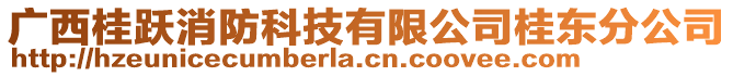 廣西桂躍消防科技有限公司桂東分公司