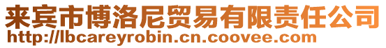 来宾市博洛尼贸易有限责任公司