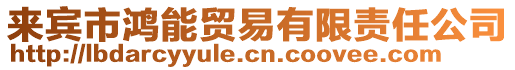 來賓市鴻能貿易有限責任公司