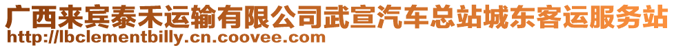 廣西來賓泰禾運(yùn)輸有限公司武宣汽車總站城東客運(yùn)服務(wù)站