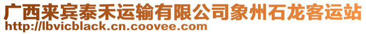 廣西來賓泰禾運輸有限公司象州石龍客運站