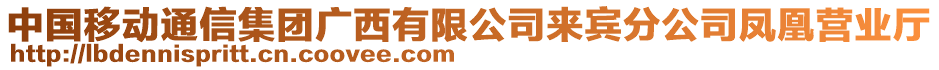 中國移動通信集團廣西有限公司來賓分公司鳳凰營業(yè)廳