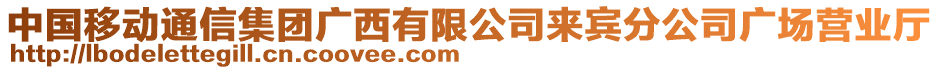 中國移動通信集團(tuán)廣西有限公司來賓分公司廣場營業(yè)廳