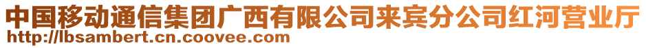 中國移動通信集團(tuán)廣西有限公司來賓分公司紅河營業(yè)廳