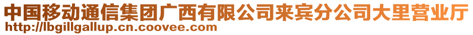 中國移動通信集團廣西有限公司來賓分公司大里營業(yè)廳