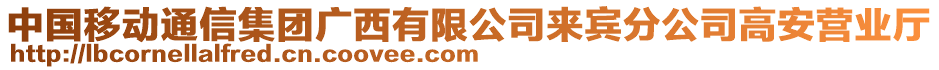 中國(guó)移動(dòng)通信集團(tuán)廣西有限公司來(lái)賓分公司高安營(yíng)業(yè)廳