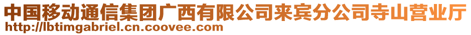 中國(guó)移動(dòng)通信集團(tuán)廣西有限公司來(lái)賓分公司寺山營(yíng)業(yè)廳