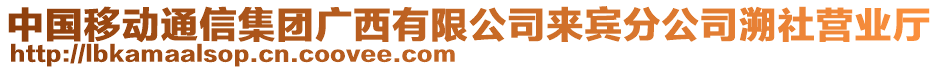 中國移動通信集團廣西有限公司來賓分公司溯社營業(yè)廳