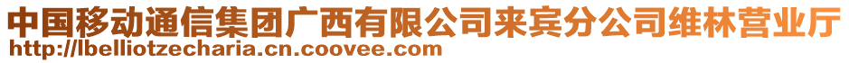 中國移動通信集團(tuán)廣西有限公司來賓分公司維林營業(yè)廳