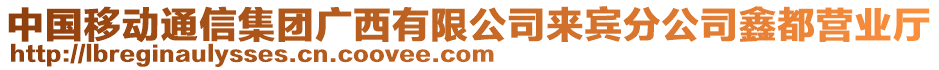 中國移動(dòng)通信集團(tuán)廣西有限公司來賓分公司鑫都營業(yè)廳