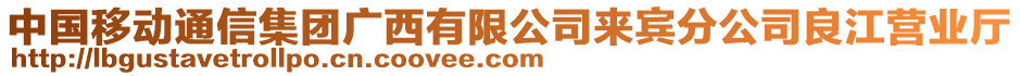 中國移動通信集團廣西有限公司來賓分公司良江營業(yè)廳